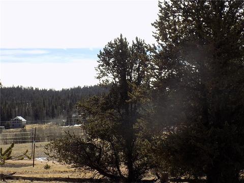 1445 Wampum Ln, Como, CO 80432 photo 6
