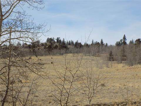 1445 Wampum Ln, Como, CO 80432 photo 5