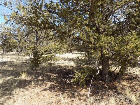 1445 Wampum Ln, Como, CO 80432 photo 2