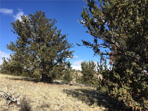 98 Hackney Ln, Jefferson, CO 80456 photo 14