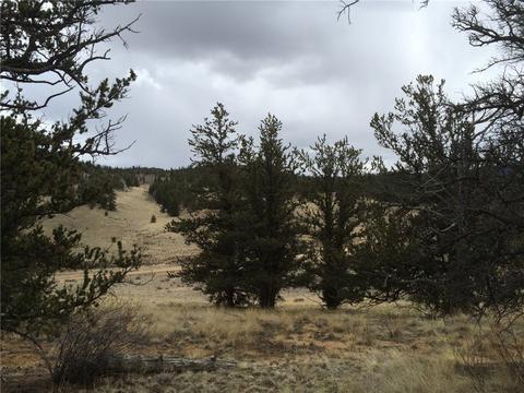 98 Hackney Ln, Jefferson, CO 80456 photo 20