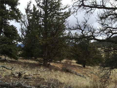 98 Hackney Ln, Jefferson, CO 80456 photo 19