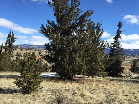 98 Hackney Ln, Jefferson, CO 80456 photo 8