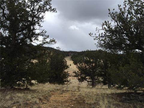 98 Hackney Ln, Jefferson, CO 80456 photo 17