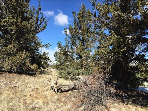 98 Hackney Ln, Jefferson, CO 80456 photo 13