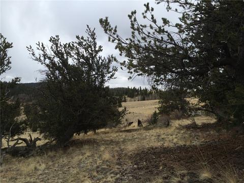 98 Hackney Ln, Jefferson, CO 80456 photo 18