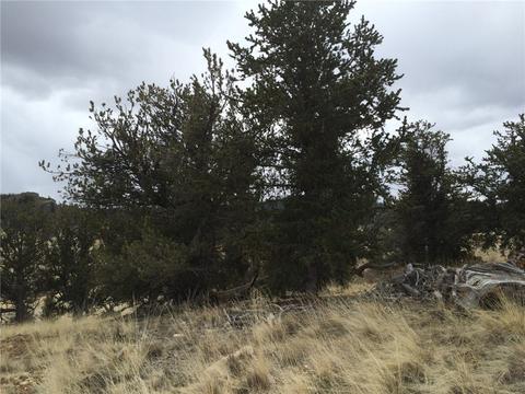 98 Hackney Ln, Jefferson, CO 80456 photo 16