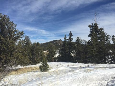 98 Hackney Ln, Jefferson, CO 80456 photo 5