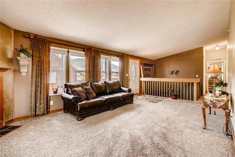 27 Redtail Ct, Dillon, CO 80435 photo 7