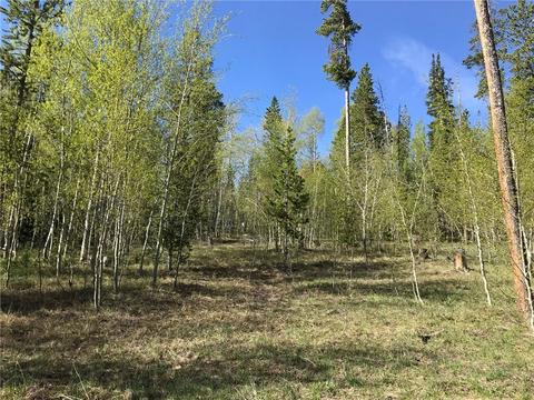 180 Easy Bend Trl, Silverthorne, CO 80498 photo 9