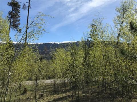 180 Easy Bend Trl, Silverthorne, CO 80498 photo 10