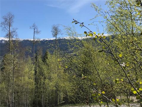 180 Easy Bend Trl, Silverthorne, CO 80498 photo 6