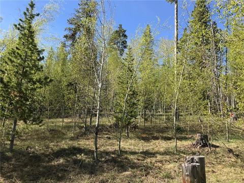 180 Easy Bend Trl, Silverthorne, CO 80498 photo 8