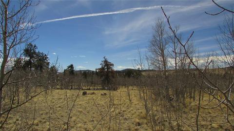 1342 Buffalo Ridge Rd, Como, CO 80432 photo 4