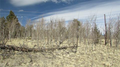 1342 Buffalo Ridge Rd, Como, CO 80432 photo 5