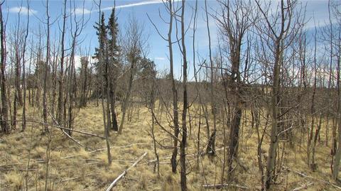 1342 Buffalo Ridge Rd, Como, CO 80432 photo 6