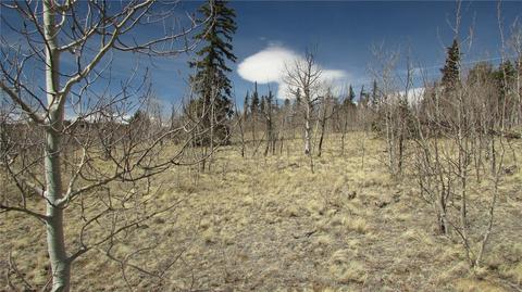 1342 Buffalo Ridge Rd, Como, CO 80432 photo 7