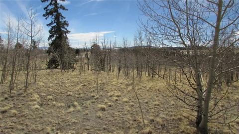 1342 Buffalo Ridge Rd, Como, CO 80432 photo 2