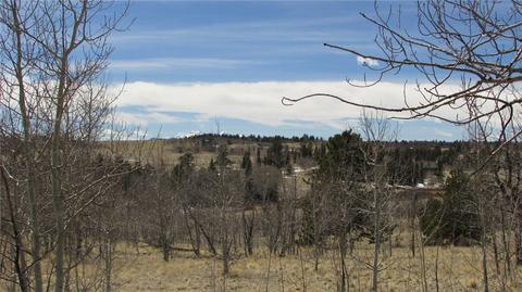 1342 Buffalo Ridge Rd, Como, CO 80432 photo 3
