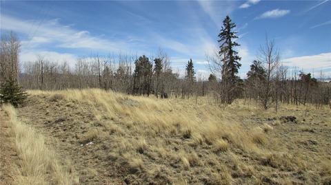 1342 Buffalo Ridge Rd, Como, CO 80432 photo 1
