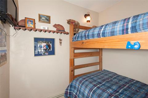 48 Willow Ln, Frisco, CO 80443 photo 15