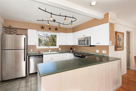 48 Willow Ln, Frisco, CO 80443 photo 5