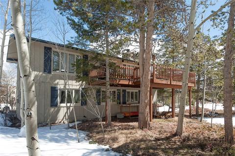 48 Willow Ln, Frisco, CO 80443 photo 18
