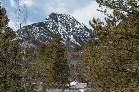 48 Willow Ln, Frisco, CO 80443 photo 22