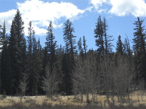2594 Longbow Dr, Como, CO 80432 photo 2