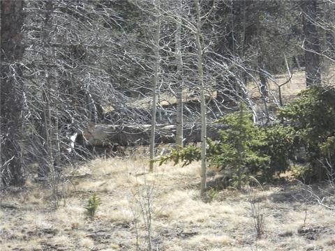 2594 Longbow Dr, Como, CO 80432 photo 5