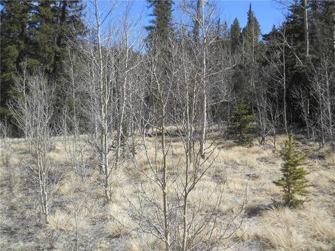 2594 Longbow Dr, Como, CO 80432 photo 4