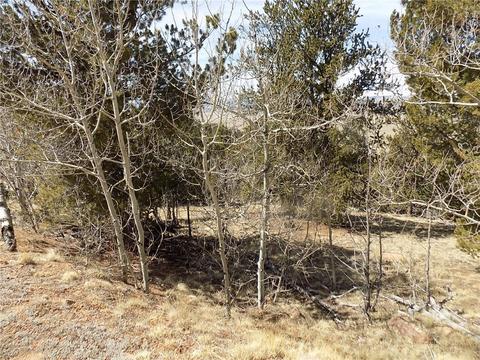 148 Bufflehead Cir, Como, CO 80432 photo 5
