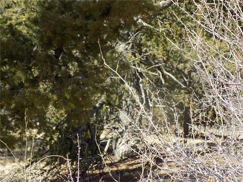 148 Bufflehead Cir, Como, CO 80432 photo 4