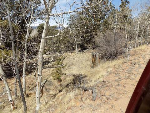 148 Bufflehead Cir, Como, CO 80432 photo 7