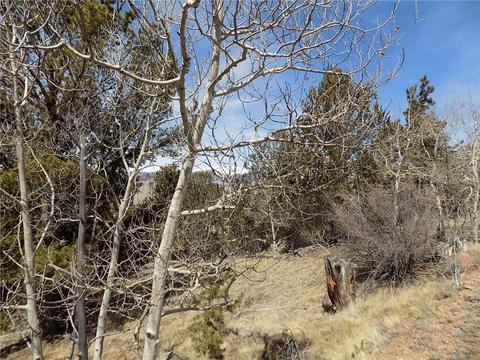 148 Bufflehead Cir, Como, CO 80432 photo 6