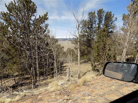148 Bufflehead Cir, Como, CO 80432 photo 8