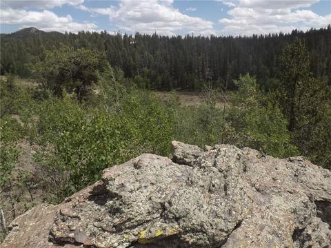 735 Quiver Rd, Como, CO 80432 photo 3