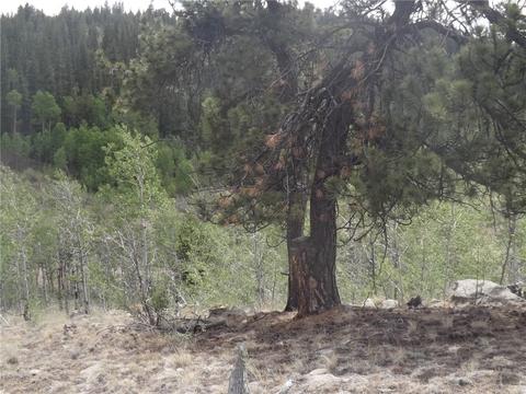 735 Quiver Rd, Como, CO 80432 photo 19