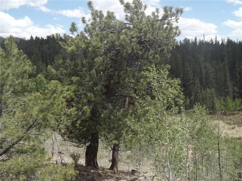 735 Quiver Rd, Como, CO 80432 photo 9
