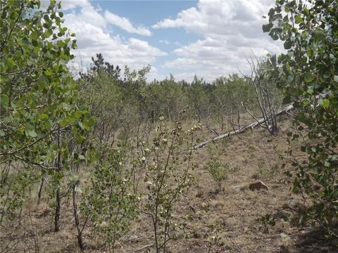 735 Quiver Rd, Como, CO 80432 photo 14