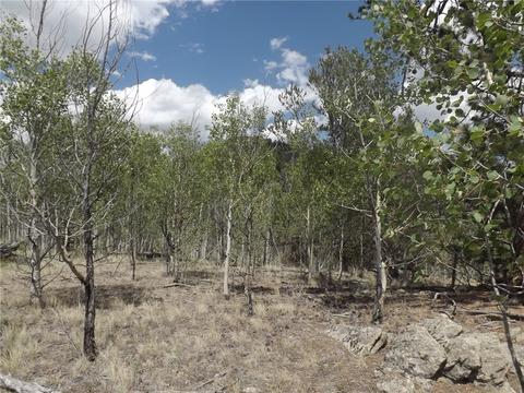 735 Quiver Rd, Como, CO 80432 photo 20