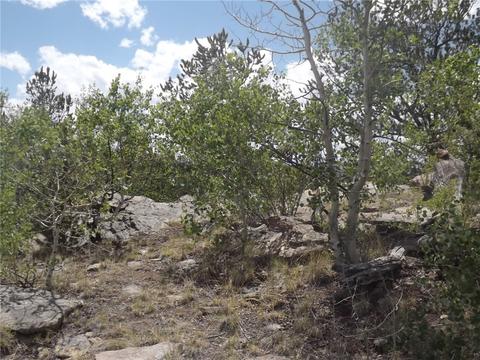 735 Quiver Rd, Como, CO 80432 photo 6