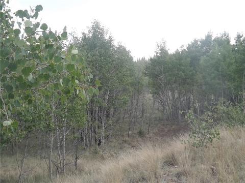 735 Quiver Rd, Como, CO 80432 photo 23