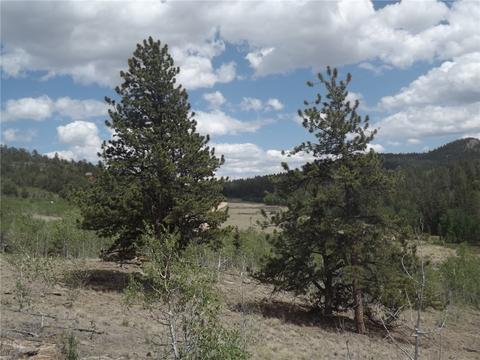 735 Quiver Rd, Como, CO 80432 photo 18