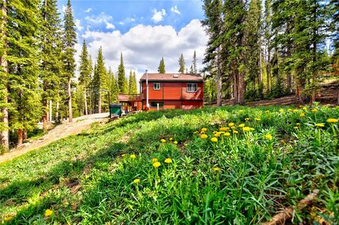 70 Bum Dr, Fairplay, CO 80440 photo 23