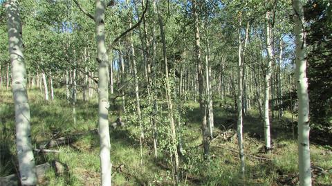 167 Arrowhead Dr, Como, CO 80432 photo 5