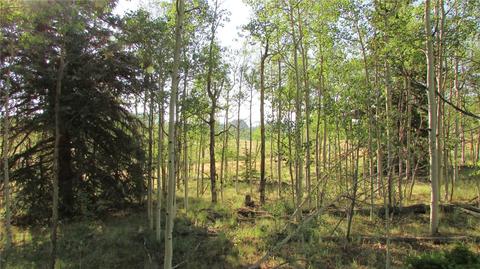 167 Arrowhead Dr, Como, CO 80432 photo 8