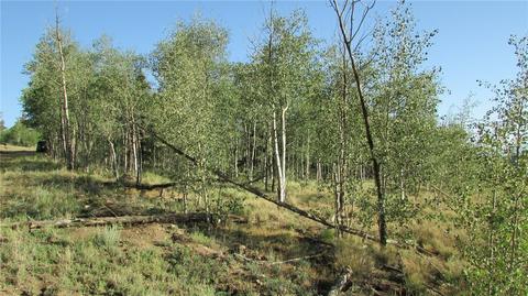 167 Arrowhead Dr, Como, CO 80432 photo 2