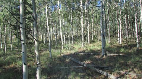 167 Arrowhead Dr, Como, CO 80432 photo 11