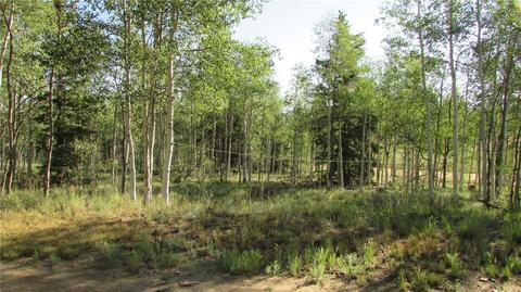 167 Arrowhead Dr, Como, CO 80432 photo 1